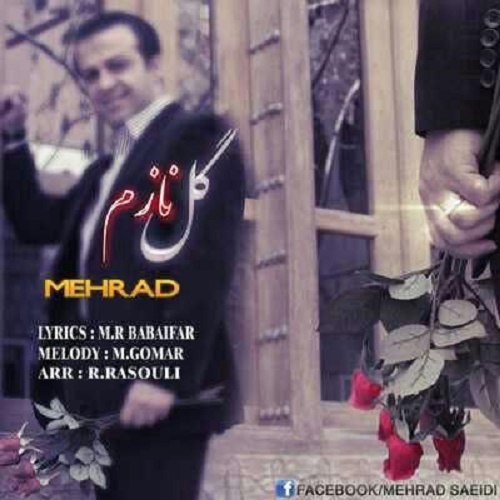 دانلود آهنگ گل نازم